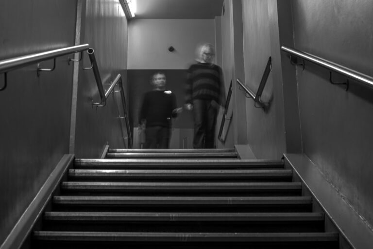 seefel_www.infinite-jest.it