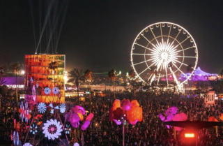 coachella_www.infinite-jest